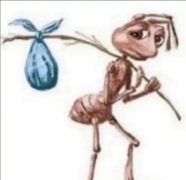 Comment image