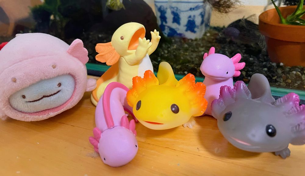 ウーパールーパーグッズ