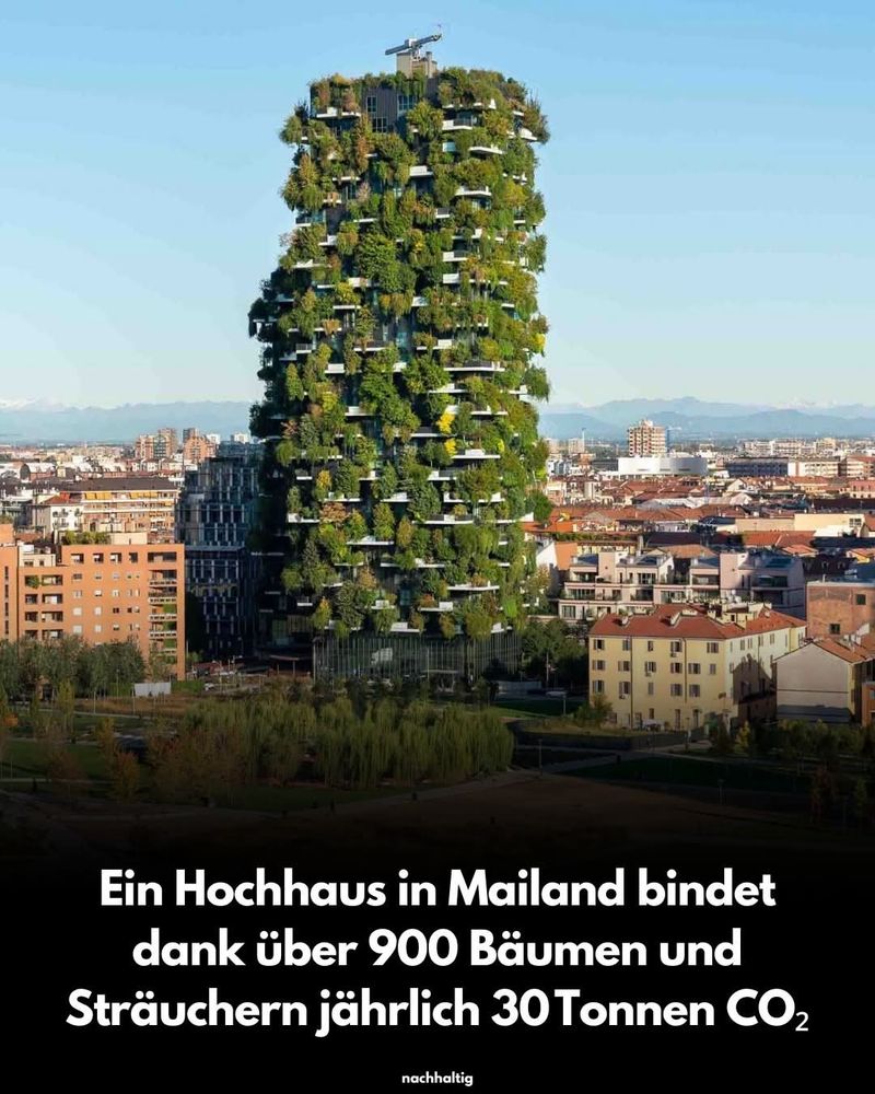 Hochhaus in Mailand, dass komplett rundum mit Pflanzen begrünt ist.