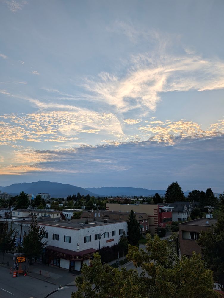 Room with a view