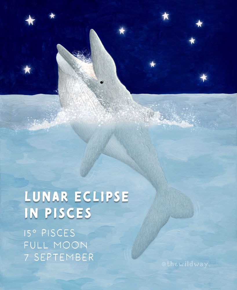 Illustration of whale surfacing and gobbling a mouthful of krill and the words “lunar eclipse in pisces 15° pisces full moon 7 September”