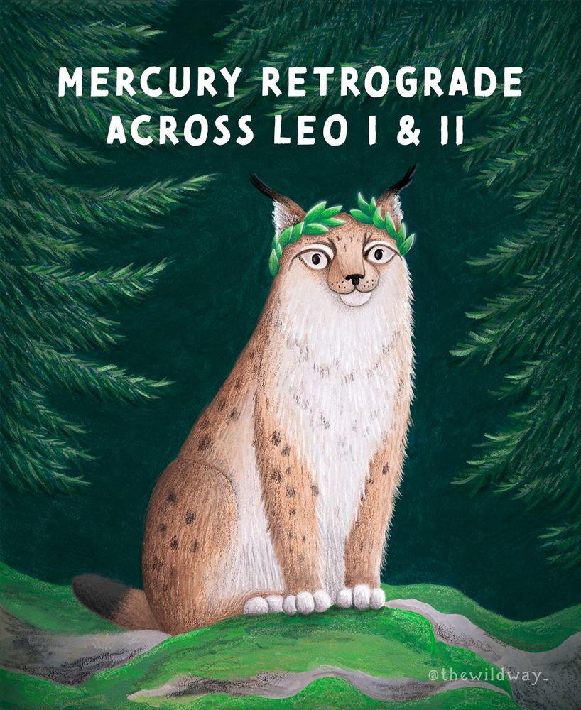 Illustration of lynx with crown of laurels sitting on a mossy rock surrounded by pine trees and the words “mercury retrograde across Leo 1 and 2”