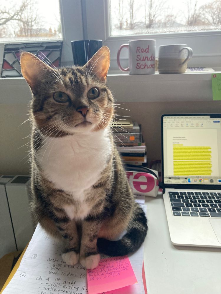 A lovely tabby cat called Susan with white feet and kind eyes, sitting on top of a pile of notes on a table. In the background are various coffee mugs, a pile of books and a computer. It’s cool Susan I wasn’t even using those notes anyway 
