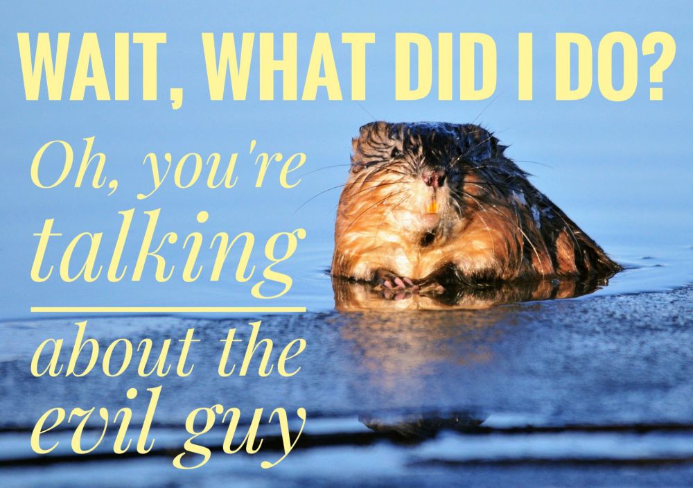 Comment image