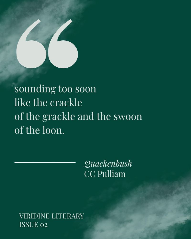 "sounding too soon
like the crackle
of the crackle and the swoon
of the loon."
- excerpt from the poem Quackenbush, by CC Pulliam. Available in Viridine Literary Issue 02