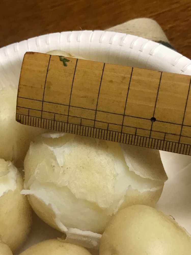 茹でたジャガイモ