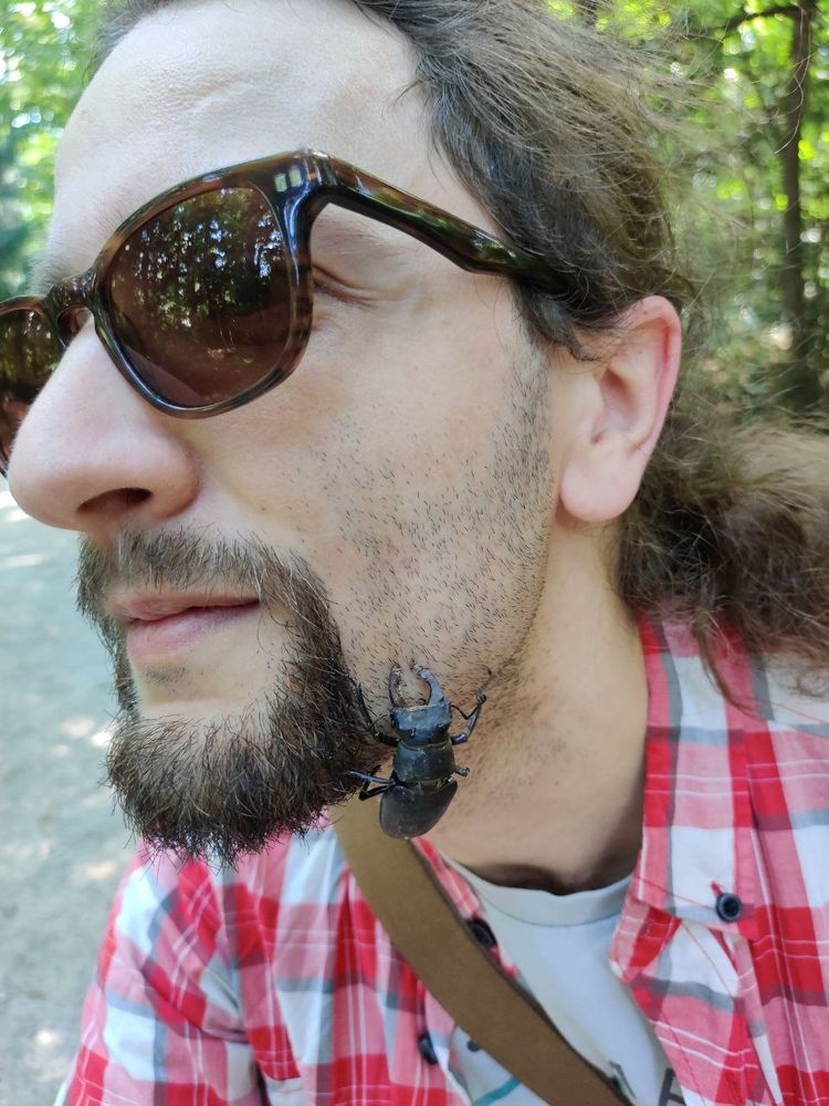 Large beetle on my face, gently pinching the skin
