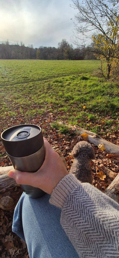 Blick über die Wiese, ich halte einen Thermobecher mit Kaffee in der Handy, welcher auf dem Knie abgestellt ist, daneben sorgt mein Hund 