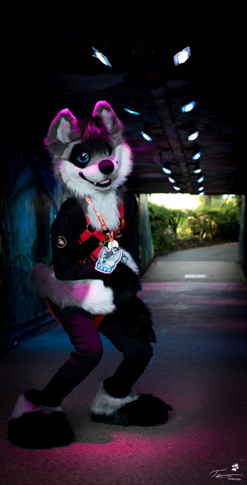 Cloud1516 Husky Landar #Megaplex: 