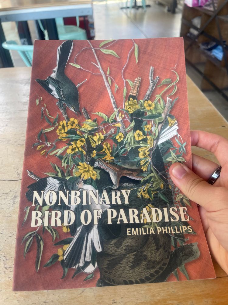 Poetry book with red-orange background. On the cover is a beautiful illustration of a snake twined territorially and comfortably at the top of a tree, jaw wide open and fangs bared, startling a black and white bird. A rattle behind it is raised high. Two other birds are perched on different twigs of this spindly treetop branch. The snake almost seems to be protecting the bird greyer bird perched right by it.