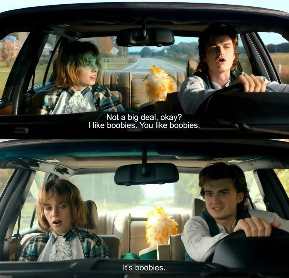 Robin and Steve (girl + guy) from Stranger Things S4. Steve says, “Not a big deal, okay? I like boobies. You like boobies. It’s boobies.”