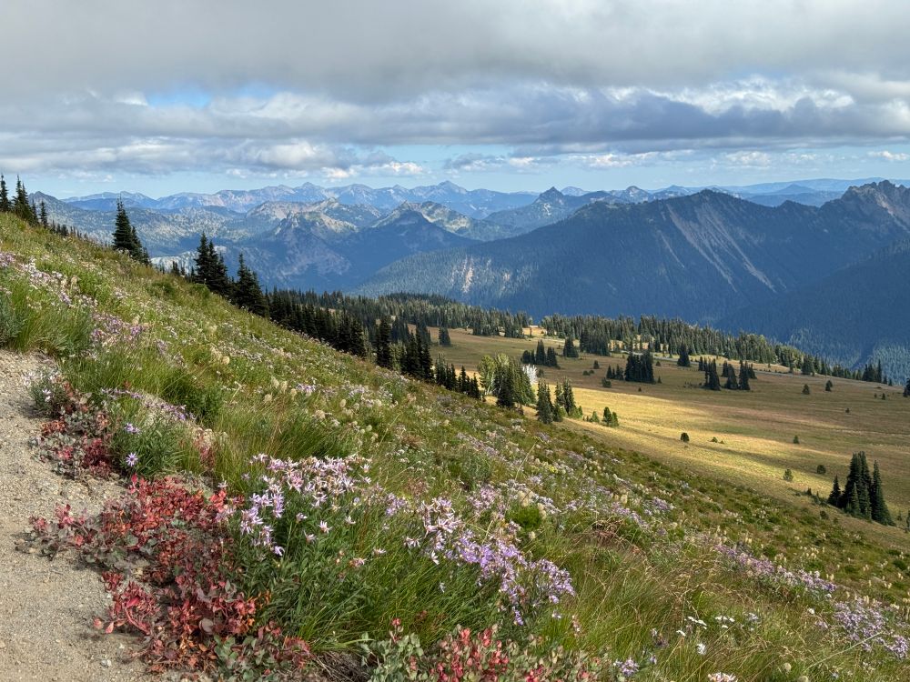 Sunrise alpine meadow with view cascade mountains