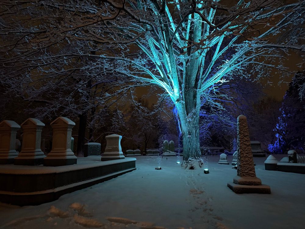 A snowy tree illuminated by icey blue light surrounded by grave headstones. You can see snowflakes suspended in beams of light. 