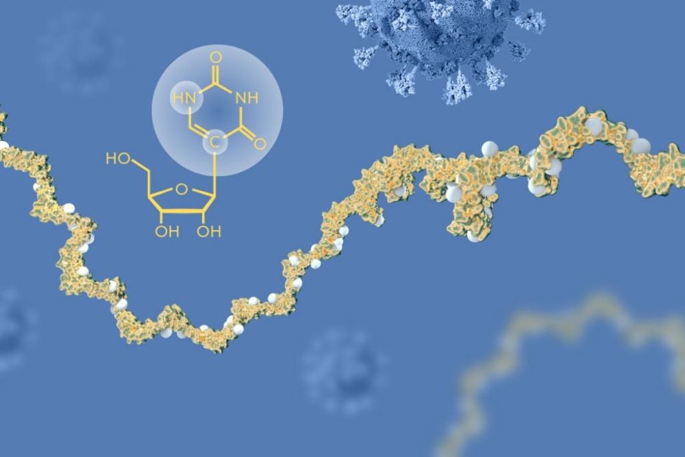 The Nobel Prize in Physiology or Medicine 2023