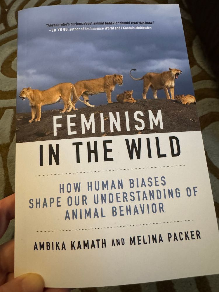 Cover of book with photo of lionesses & text titled FEMINISM IN THE WILD
HOW HUMAN BIASES
SHAPE OUR UNDERSTANDING OF ANIMAL BEHAVIOR
AMBIKA KAMATH AND MELINA PACKER  