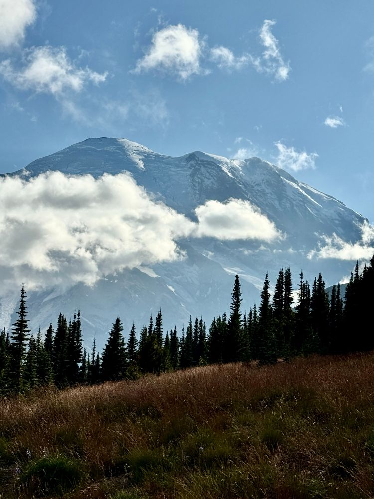 Mt. Rainier/Tahoma from Sunrise