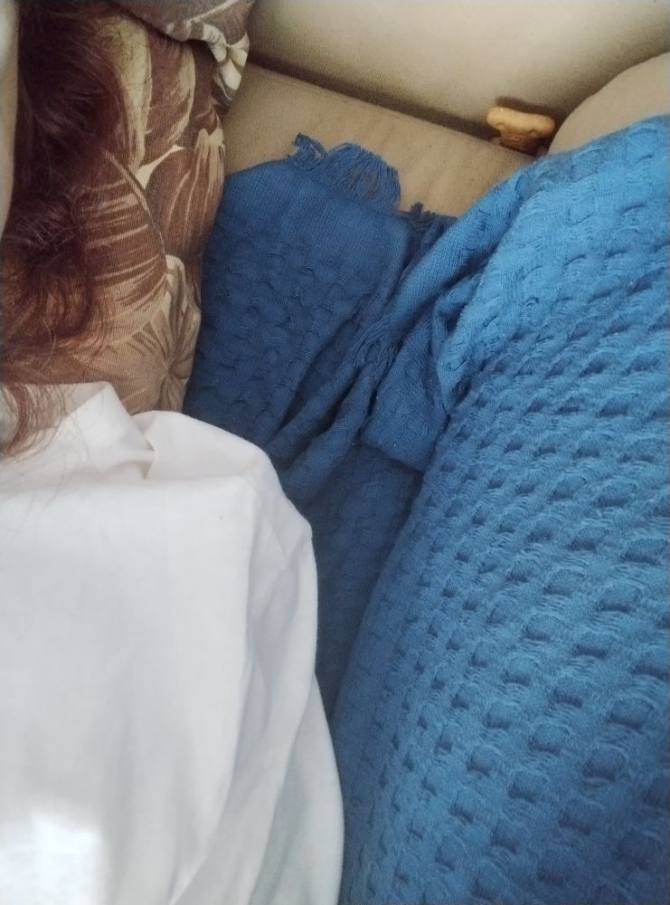 Um biscoitinho de cachorro escondido no sofá 