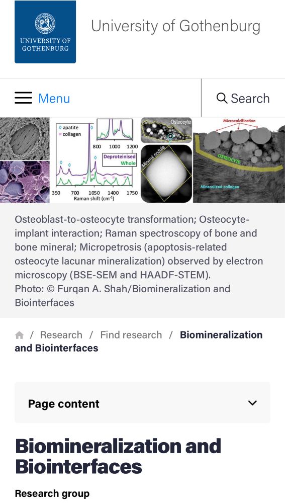 The Biomineralization and Biointerfaces Group investigates “bone as a material”, examining the structure, composition, and adaptation under diverse conditions using advanced techniques such as electron microscopy, micro-Raman spectroscopy, and X-ray micro-computed tomography, encompassing the macro-, micro-, and nanoscale. Bone is a complex, living tissue with a hierarchical architecture, from tiny mineral crystals to the entire skeleton. Particular attention is on the mineral component of the extracellular matrix and the mineralisation process of osteocytes (micropetrosis), bone repair biomaterials such as calcium phosphates, titanium, magnesium, and cobalt-chromium alloys, and distinguishing bone mineral from other bioapatites (e.g., in dental enamel) and geological apatites (i.e., hydroxy(l)apatite).