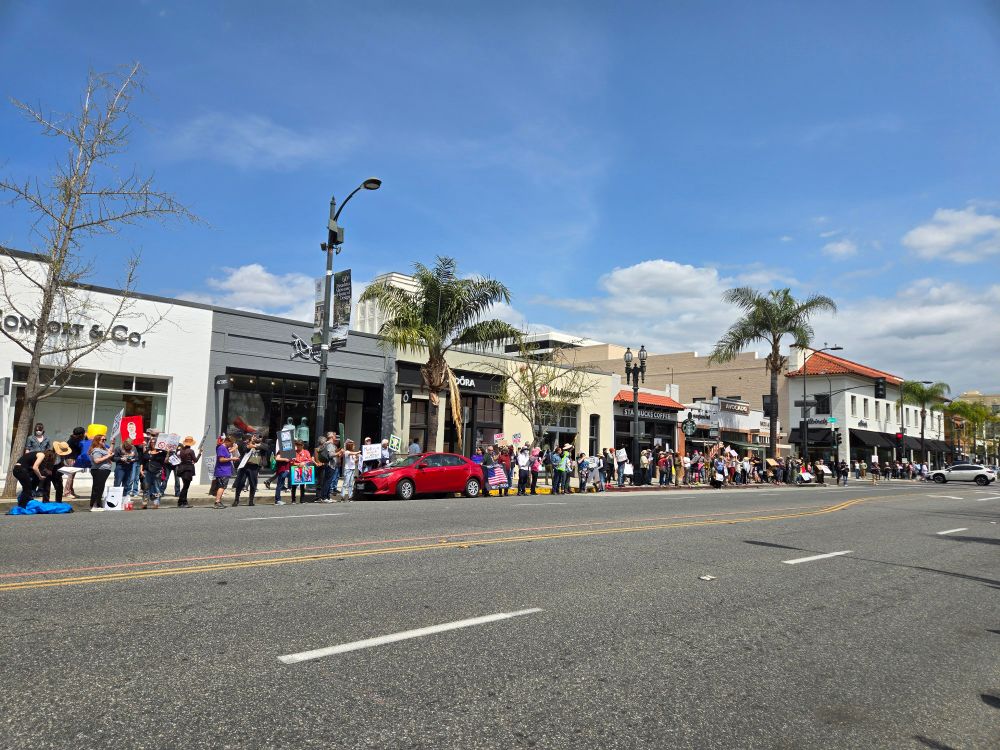Yet more Tesla protestors!