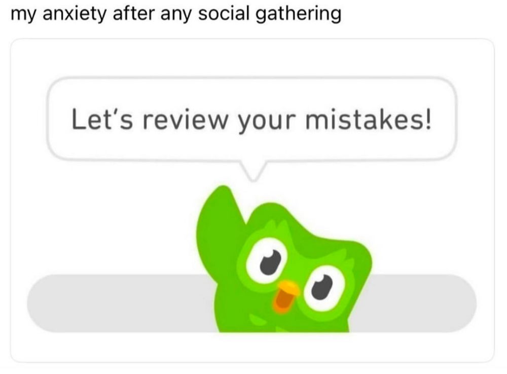 Meme with the text "me after any social gathering" above the DuoLingo owl waving with a speech bubble that says "Let's review your mistakes!"
