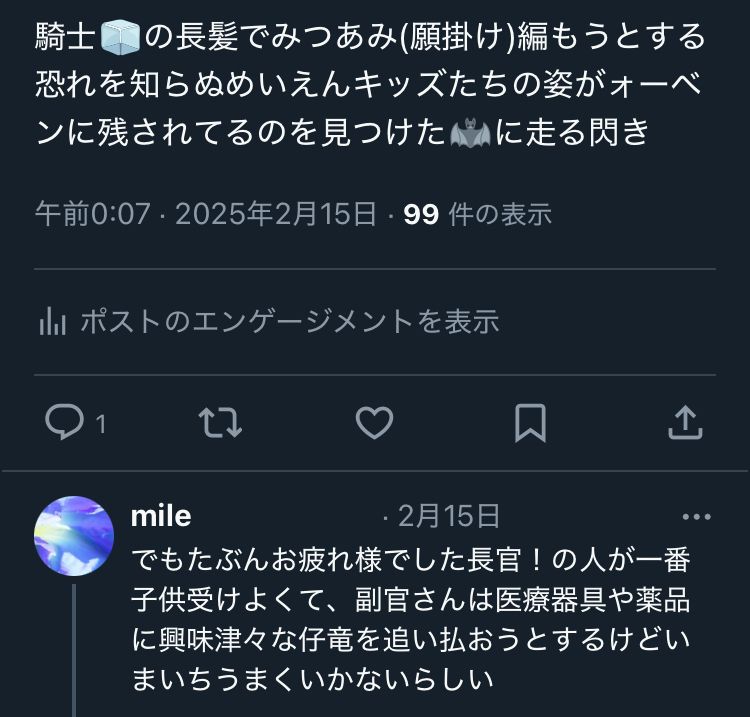 騎士🧊の長髪でみつあみ（願掛け）編もうとする恐れを知らぬめいえんキッズたちの姿がゥォーベンに残されてるのを見つけた🦇に走る閃き