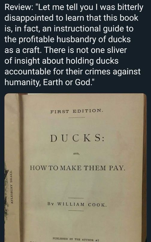 Review: "Let me tell you I was bitterly disappointed to learn that this book is, in fact, an instructional guide to the profitable husbandry of ducks as a craft. There is not one sliver of insight about holding ducks accountable for their crimes against humanity, Earth or God."
FIRST EDITION.
DUCKS:
AND,
HOW TO MAKE THEM PAY.
AYLESBURY DRAKE
By WILLIAM COOK.
