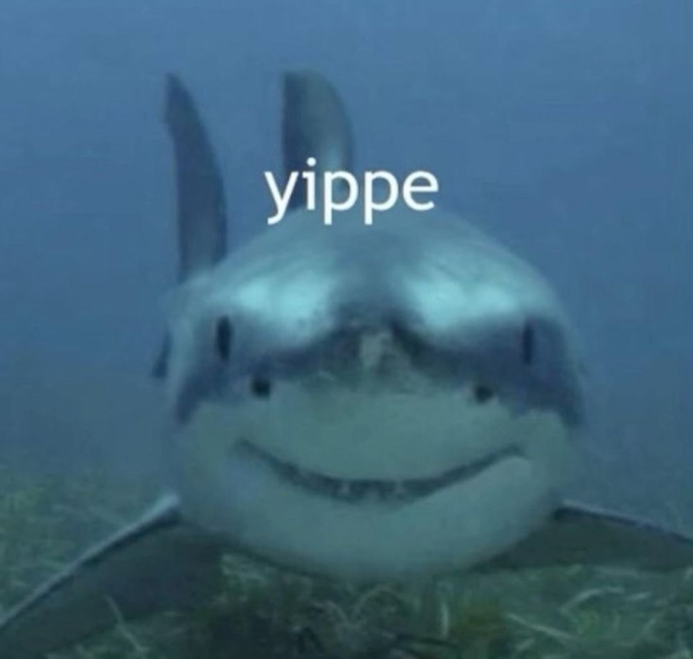 Comment image