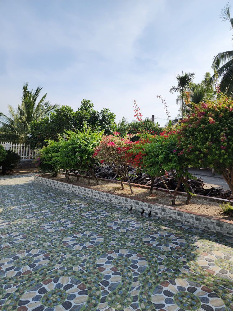 A garden in the Mekong delta with Tết seasonal flowers