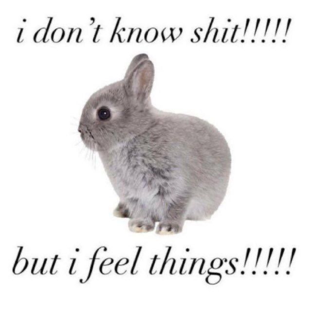 i dont know shit!!!!!

but i feel things!!!!!