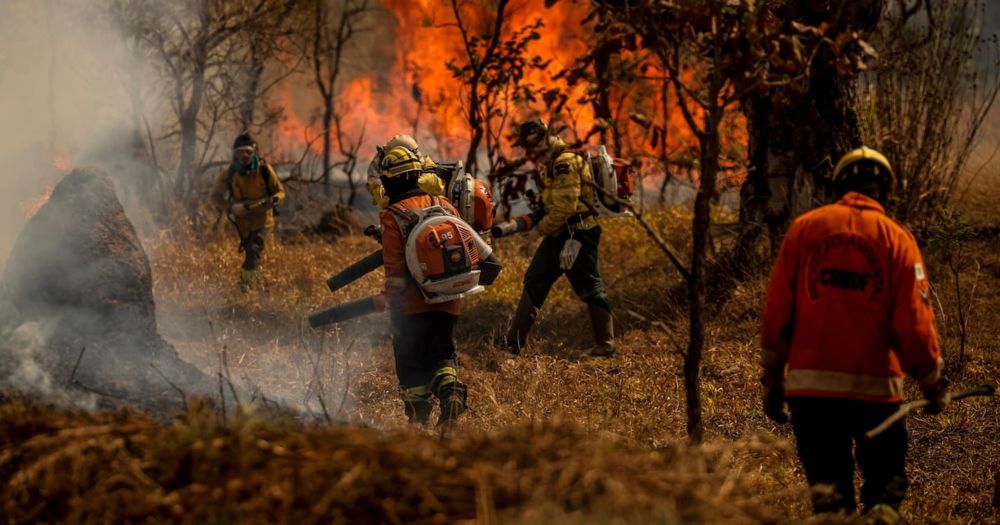 Governo Lula classifica seca e incêndios como crise e escala ministros para respostas emergenciais