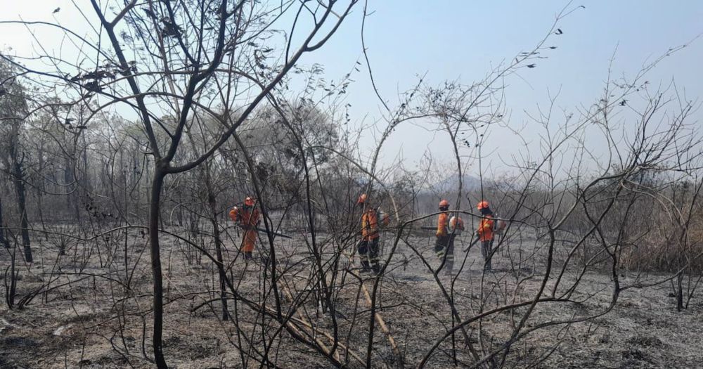 Governo Lula é alertado sobre risco de seca e incêndios desde o início do ano, mostram documentos