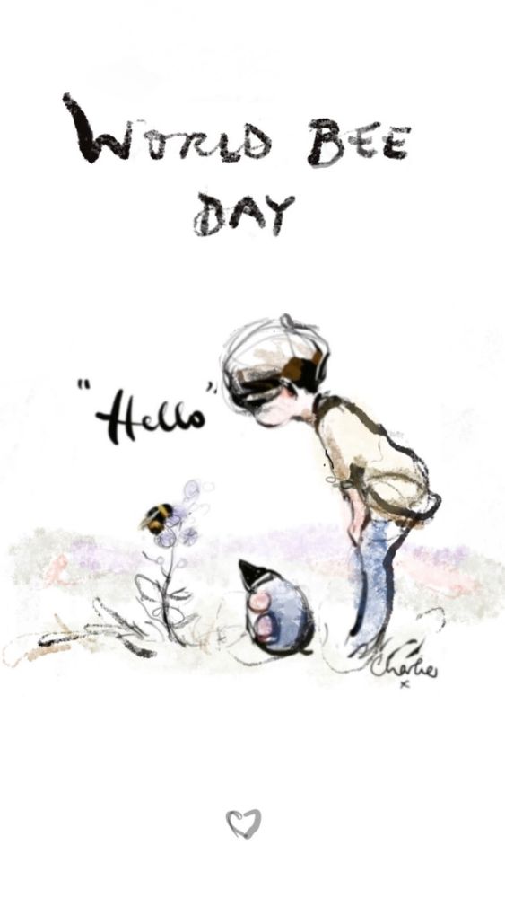 Drawing by Charlie Mackesy of a boy looking at a bee to honour World Bee Day.