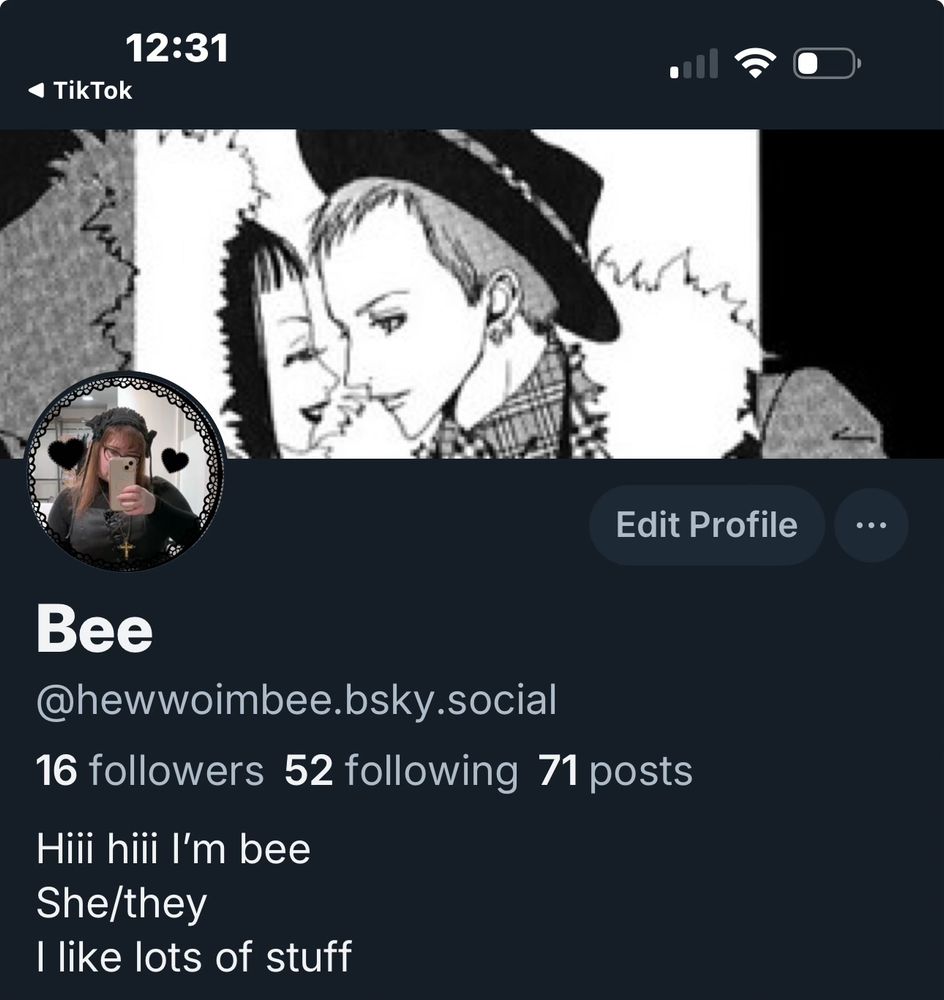Theme for Bluesky featuring George and Yukari as the banner and a selfie for the icon