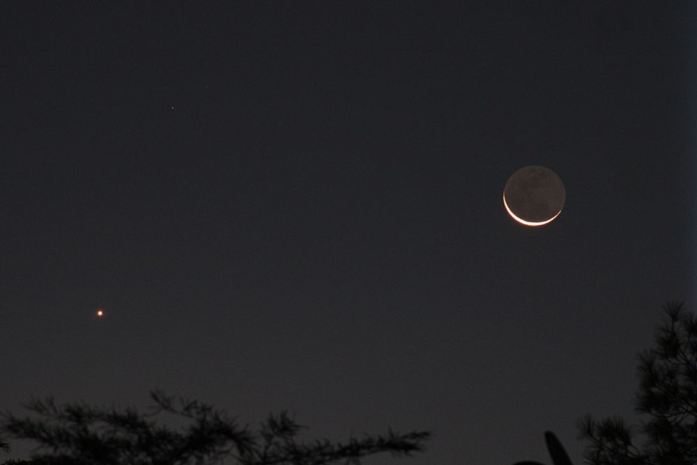 Venus and the Moon rising with the tops of trees in the foreground