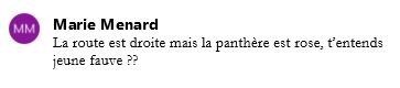 "la route est droite mais la panthère rose t'entends jeune fauve ?"
