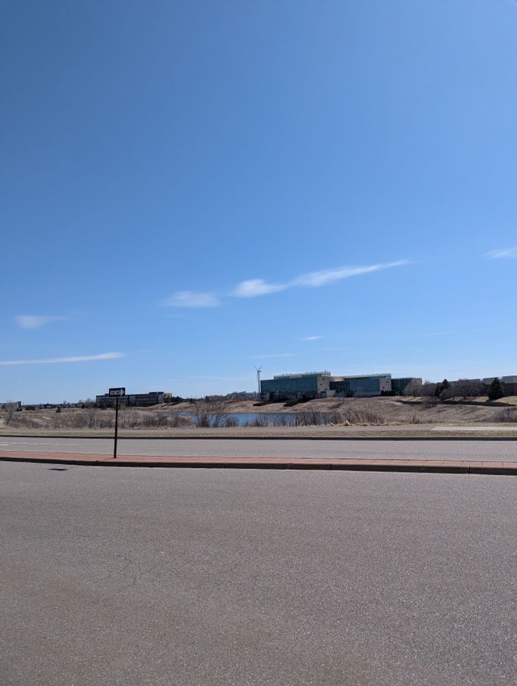 An empty road under a blue sky with a pond just beyond. 