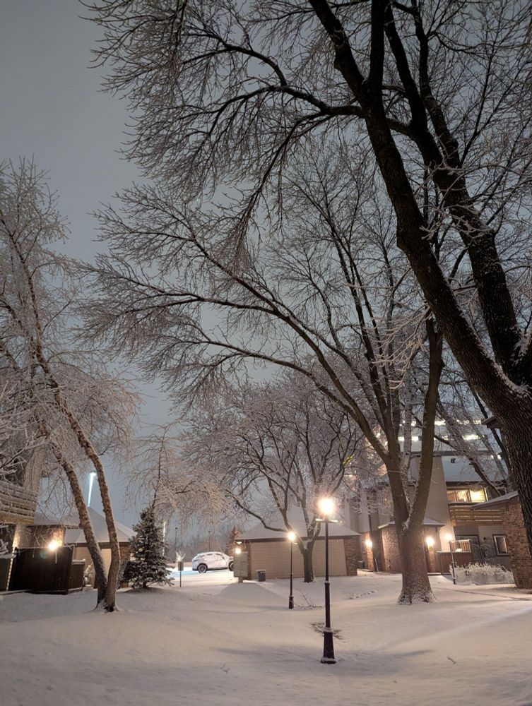 A snow-covered courtyard.
