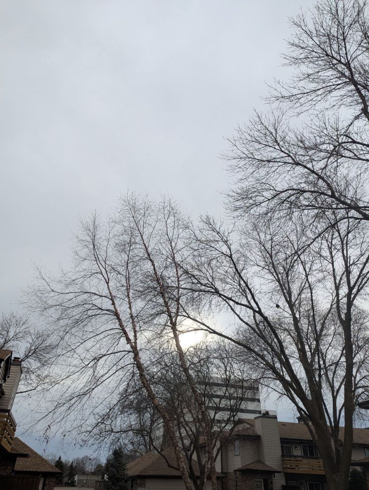 Bare winter branches against a cloudy sky.