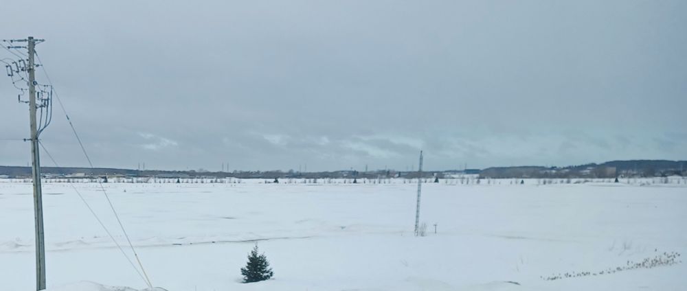 A snowy field