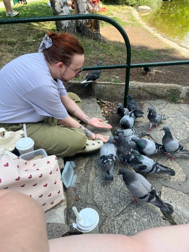 me leaning down to feed pigeons and theyre forming a small semi circle around my hands
