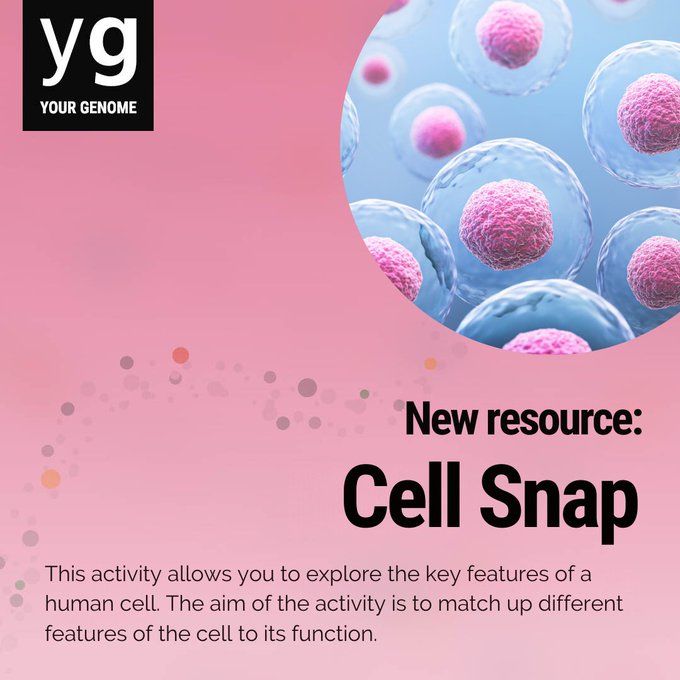 New resource: Cell Snap