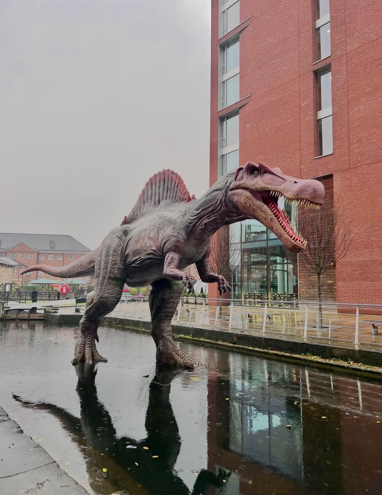 A large Spinosaur standing in water in a dock.