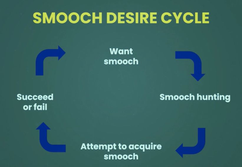 A screenshot of the "SMOOCH DESIRE CYCLE" from Ify Nwadiwe's presentation on Dropout's panel show Smartypants. 

It has blue arrows dictating a sequential cycle with actions represented by white text, with "Smooch Desire Cycle" in yellow text as the slide's title. The process is:
Want smooch --> Smooch hunting --> Attempt to acquire smooch --> Succeed or fail