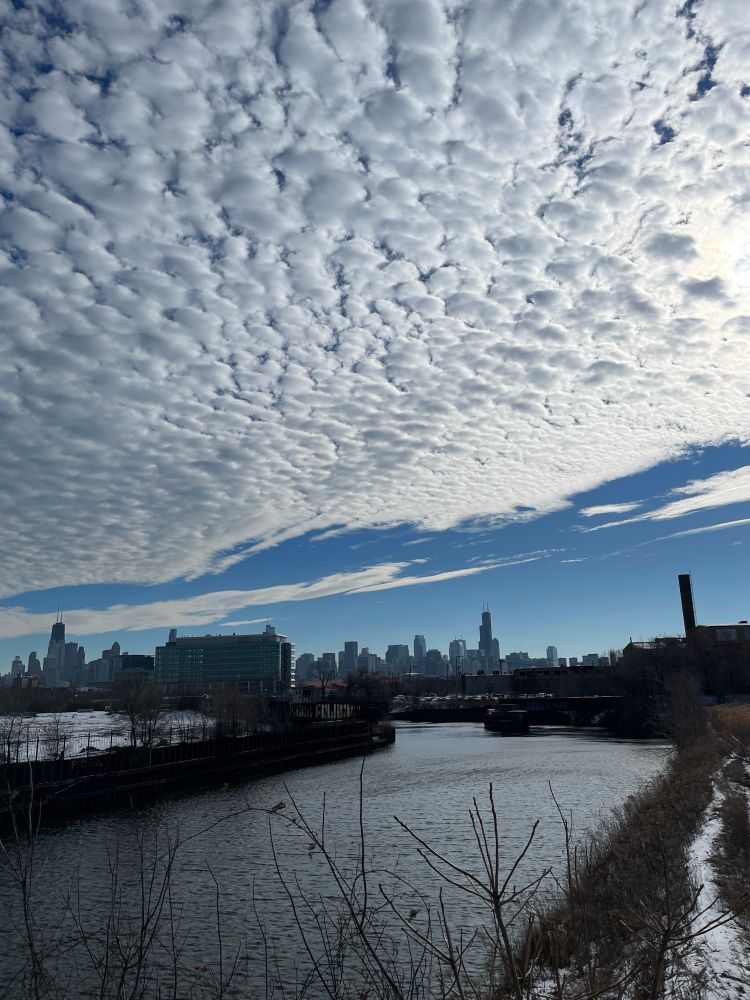 Image of the Chicago skyline with the north branch of the river in the foreground. 
