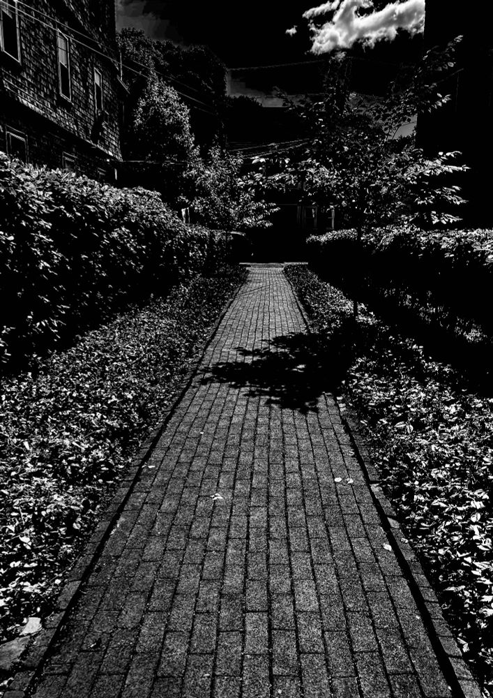 A black and white photograph of a pedestrian path paved with bricks running straight between two hedgerows bracketed by low-rise residential buildings.