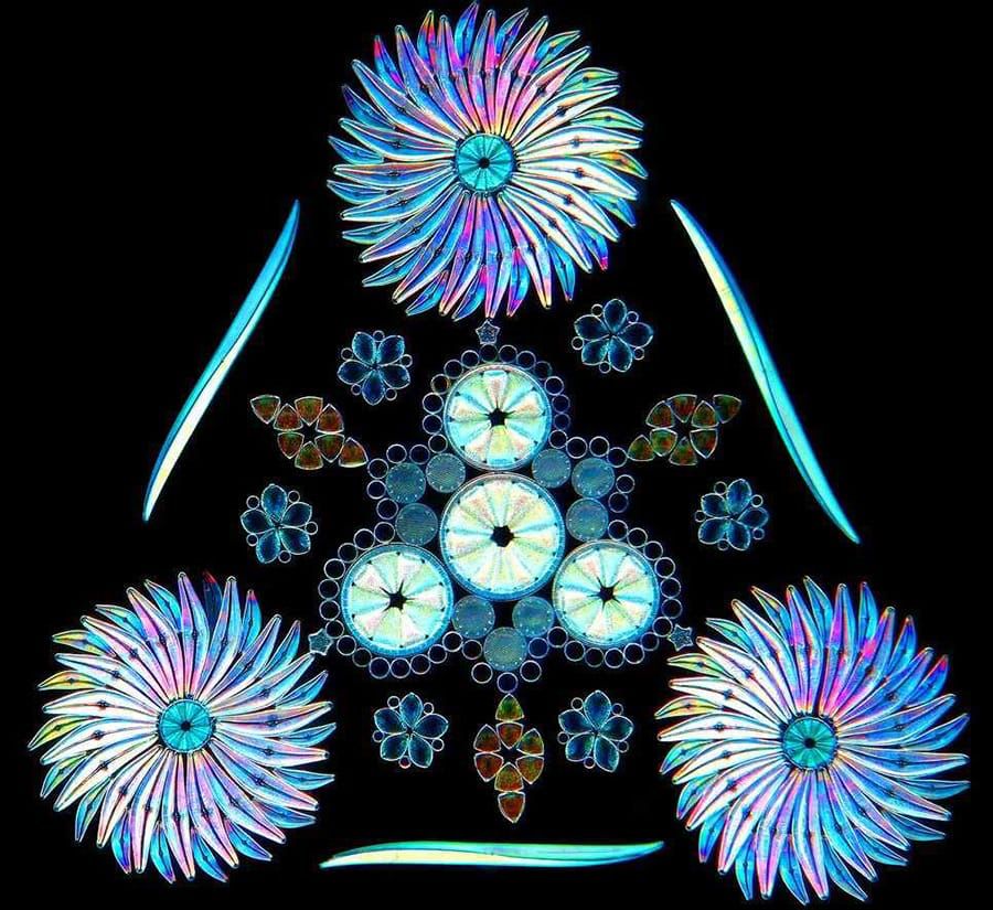 diatoms arranged in a sort of pyramid/triangle pattern, looking very corpuscular.
