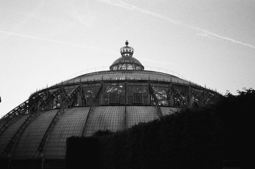 Winter Garden of the Royal Greenhouses of Laeken