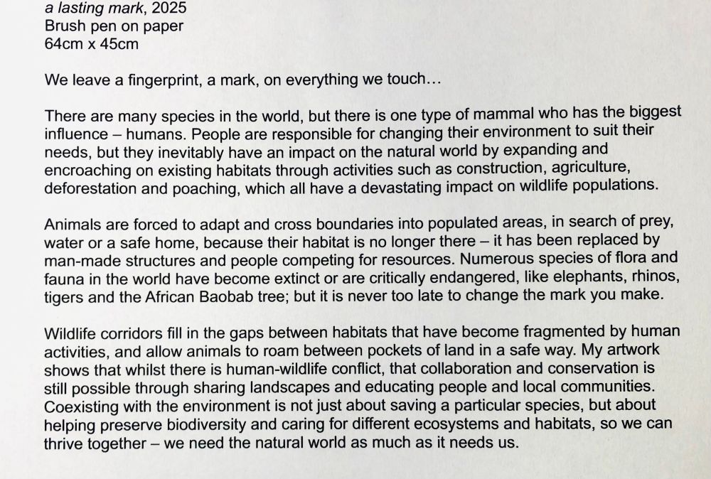 Description of my artwork “A lasting mark, 2025. Brush pen on paper;
64cm x 45cm.

We leave a fingerprint, a mark, on everything we touch… 

There are many species in the world, but there is one type of mammal who has the biggest influence – humans. People are responsible for changing their environment to suit their needs, but they inevitably have an impact on the natural world by expanding and encroaching on existing habitats through activities such as construction, agriculture and deforestation, which have a negative effect on wildlife populations.

Animals are forced to cross into populated areas in search of prey, water or a safe home, because their habitat is no longer there – it has been replaced. My artwork shows that whilst there is conflict, that collaboration and conservation is still possible through sharing landscapes and educating people.

Coexisting with the environment is not just about saving a particular species, but about helping preserve the different ecosystems and habitats that exist. Forest corridors allow animals to roam between pockets of land which connect their habitats.  

Many species of flora and fauna in the world are critically endangered, like elephants, rhinos, tigers and many more, but it is never too late to change the mark you make”.