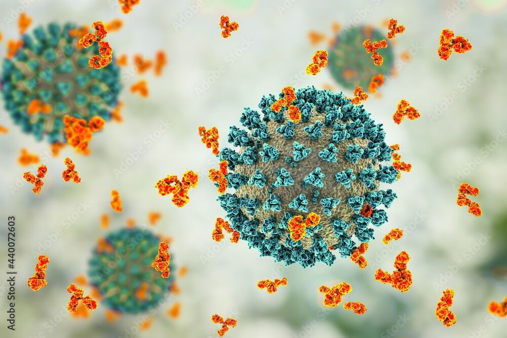 Epidemiological update: SARS-CoV-2 and NB.1.8.1 variant assessment