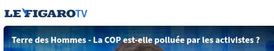 Capture d'écran sur le Figaro-tv : "la COP est-elle polluée par les activistes ?"